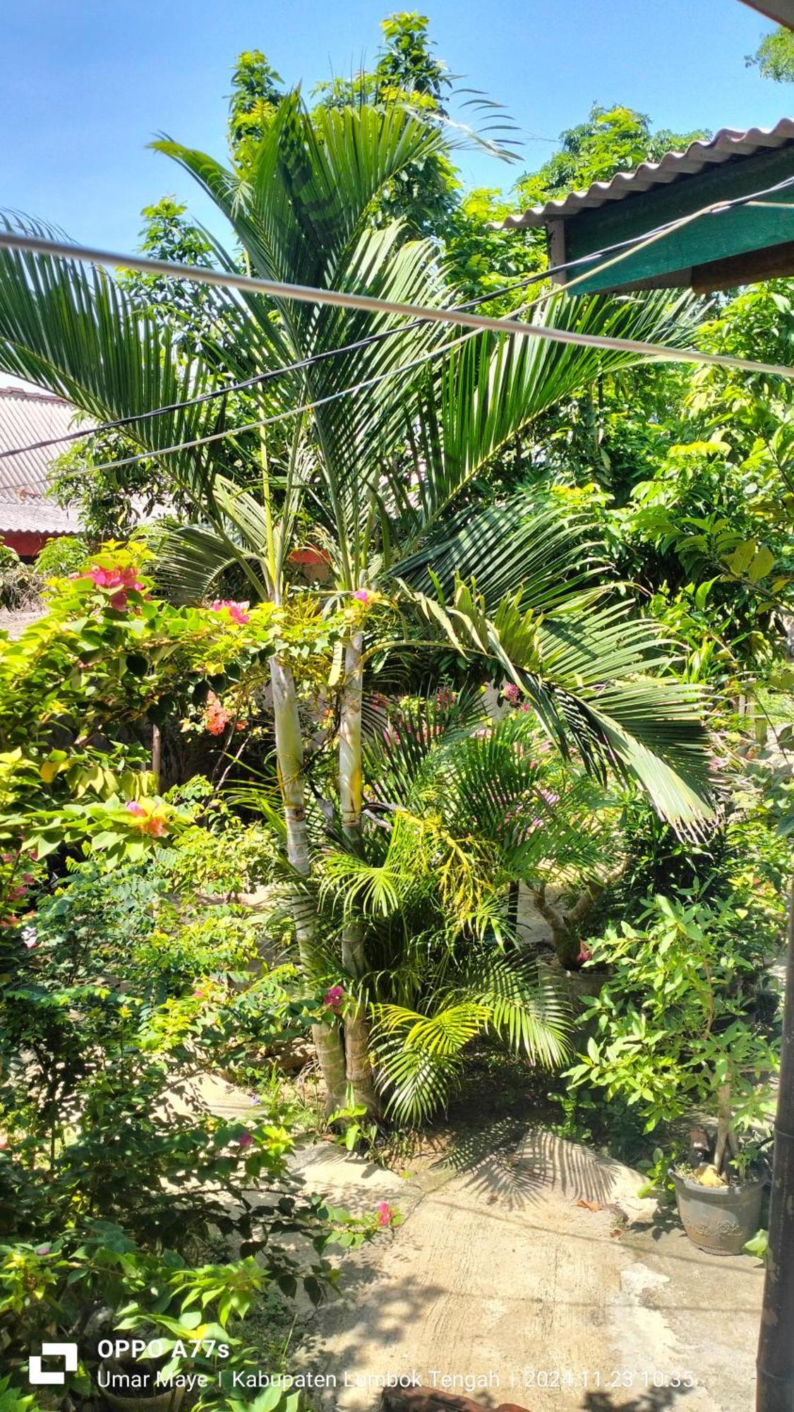 Nadil Homestay Kuta (Lombok) Exterior foto